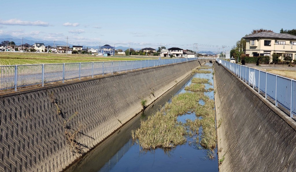 工場周辺を流れる新奈良川
