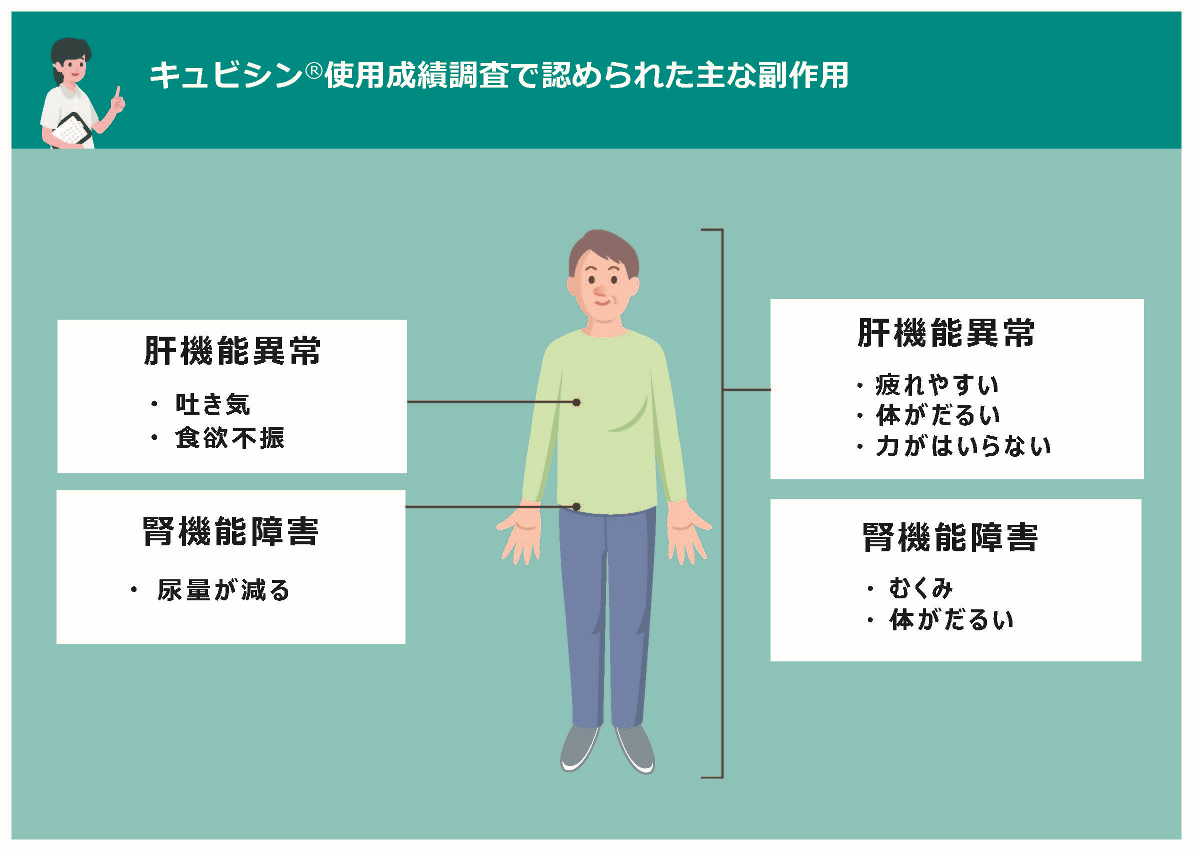 キュビシン®使用成績調査で認められた主な副作用