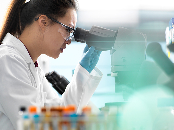 MSDストーリーズ